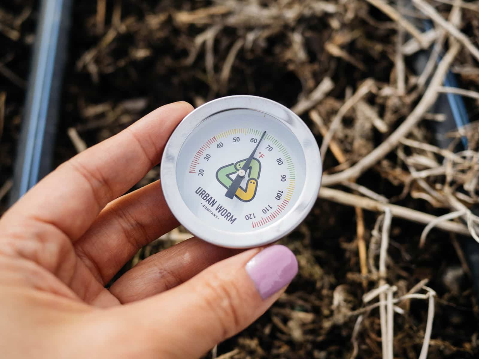 Woman's hand holding a soil thermometer in a garden bed